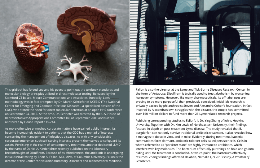 1 Photo and 1 Column 2