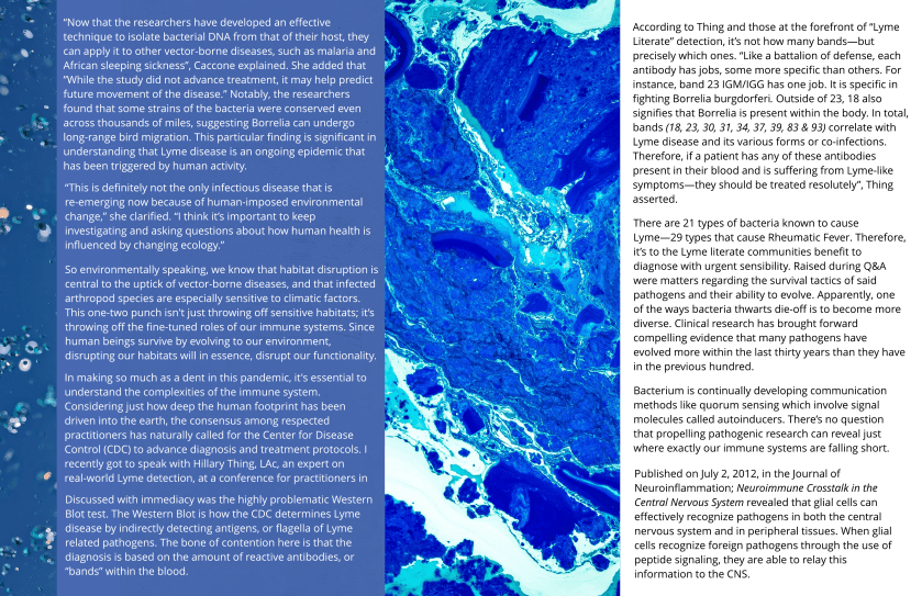 3 Photos and 3 Columns